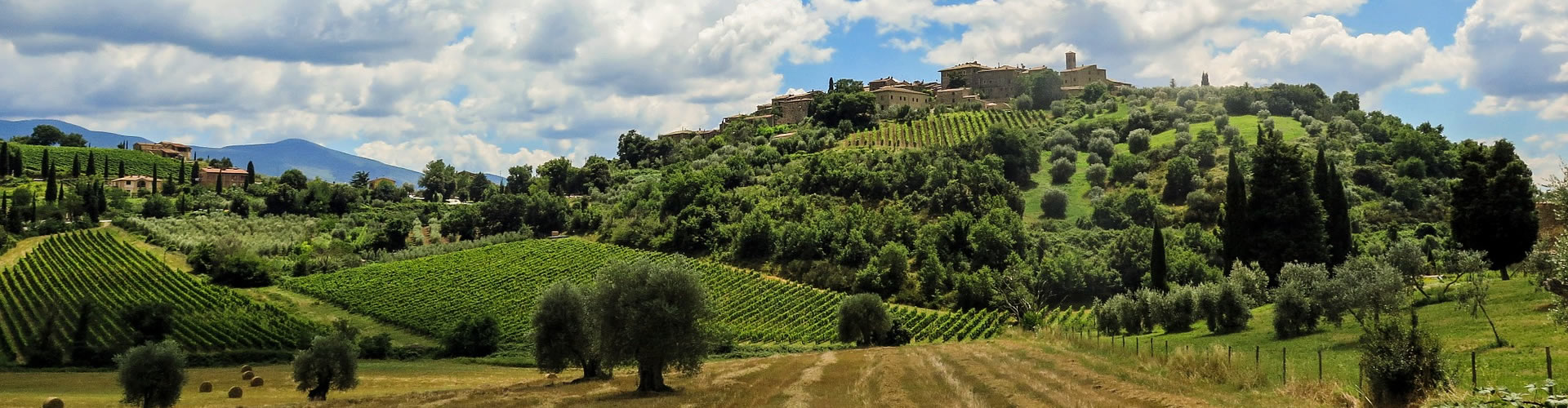 Agriturismo in Toscana